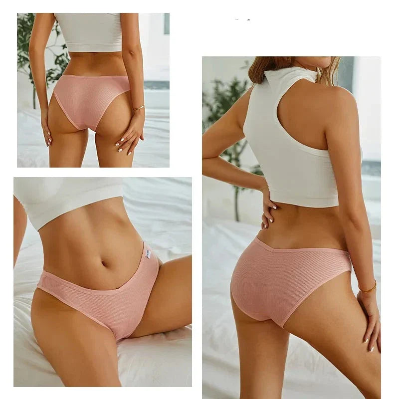 Lot de culottes coton taille basse