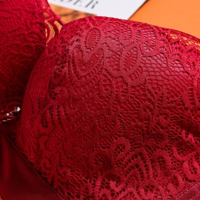 Full cup lace bras C D cup Lingerie-Avenue