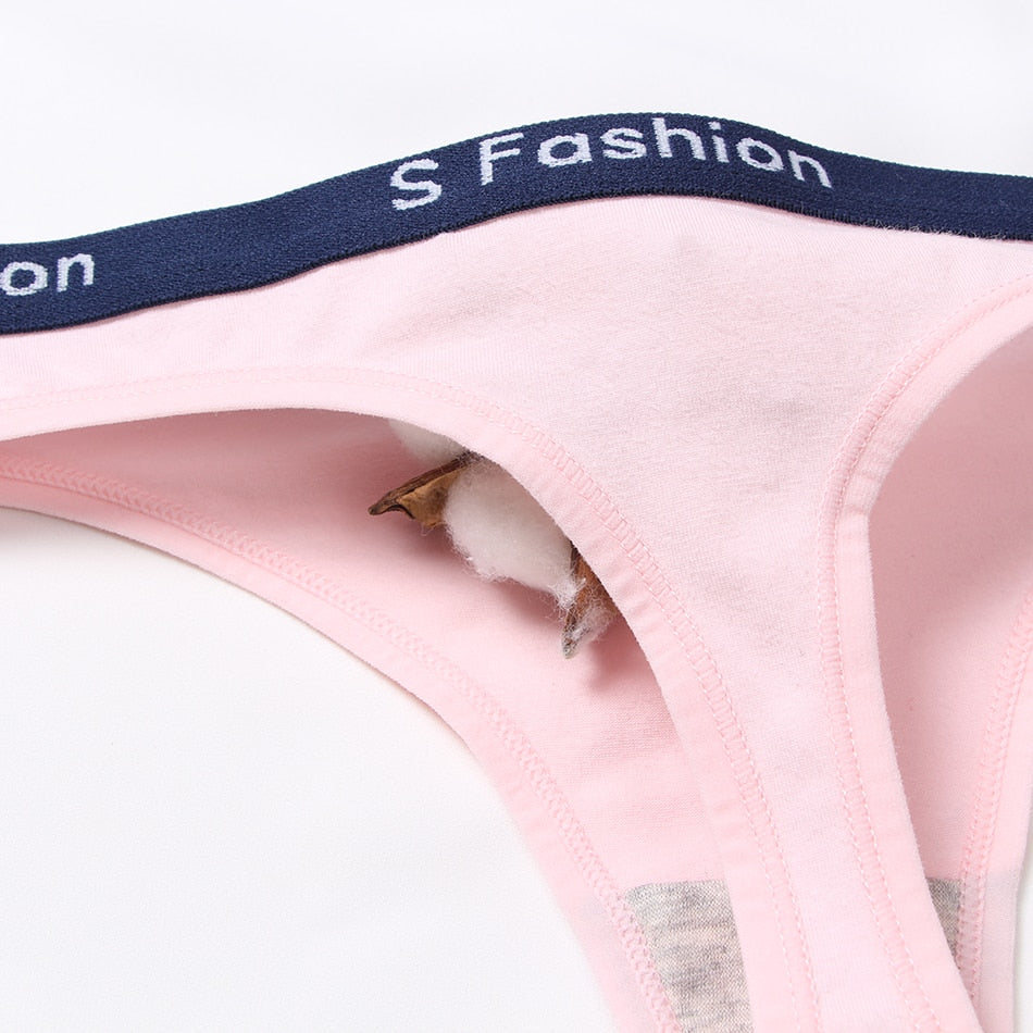 Seamless thong Lingerie-Avenue